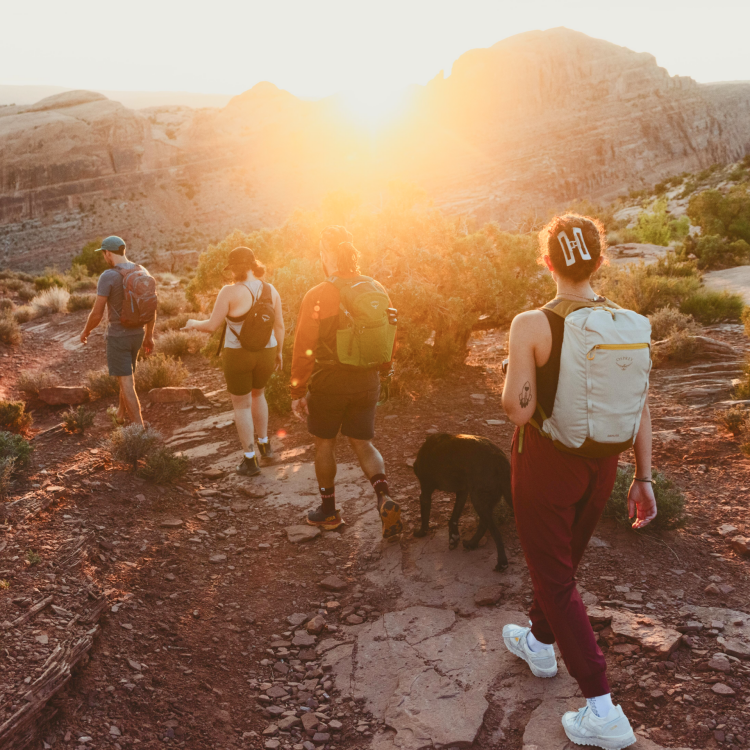 Osprey : High-Performance Backpacks for Every Journey