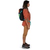 Osprey Daylite Pistachio OS(Meadow Gray/Histosol Brown)