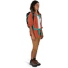 Osprey Daylite Pistachio OS(Meadow Gray/Histosol Brown)